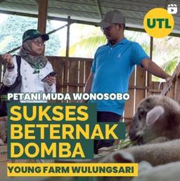 Wonosobo Young Farmers Succeed in Raising Sheep (UTL Coverage in the 2023 Agricultural Census)